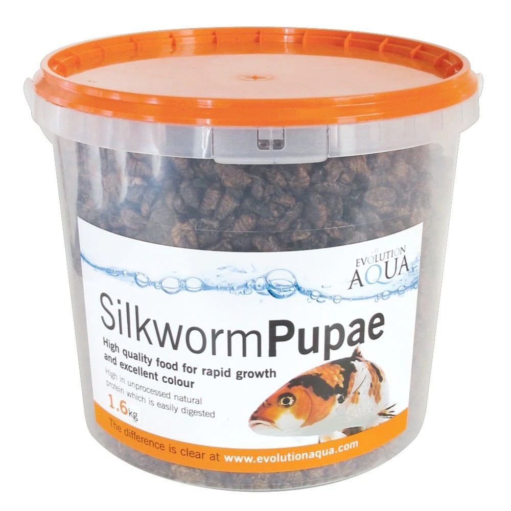 Evolution Aqua Silkworm Pupae Absolute Koi