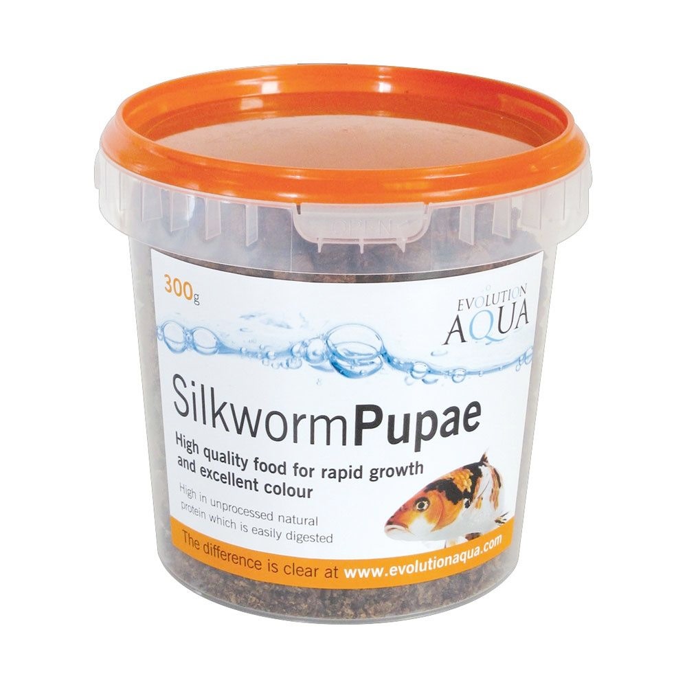 Silkworm pupae for best sale koi