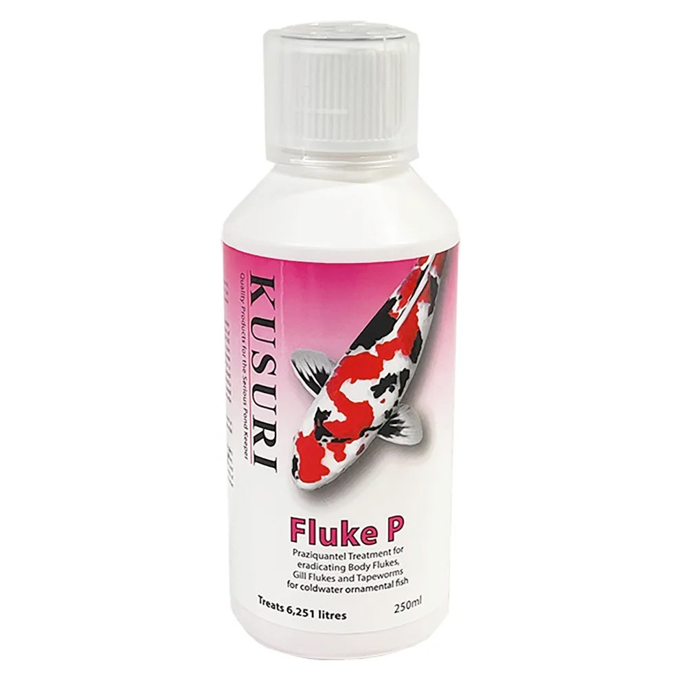 Kusuri Fluke P - Absolute Koi