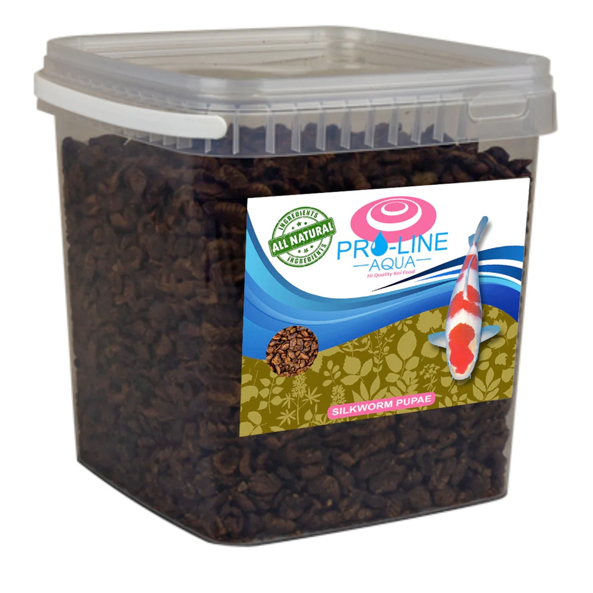 Silkworm pupae for koi clearance